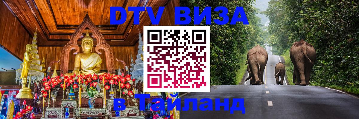 Оформление DTV визы под ключ: стоимость и тарифы, только загранпаспорт - 18.11.2025 